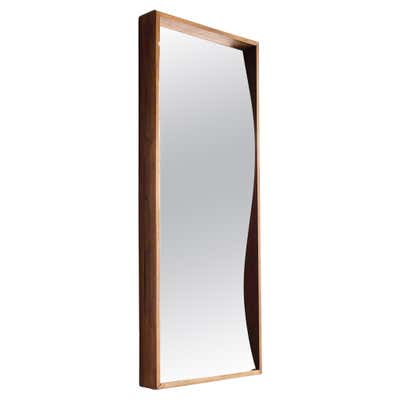 19th Century Distortion Optical Mirror Concave Curio Fairground Circus ...