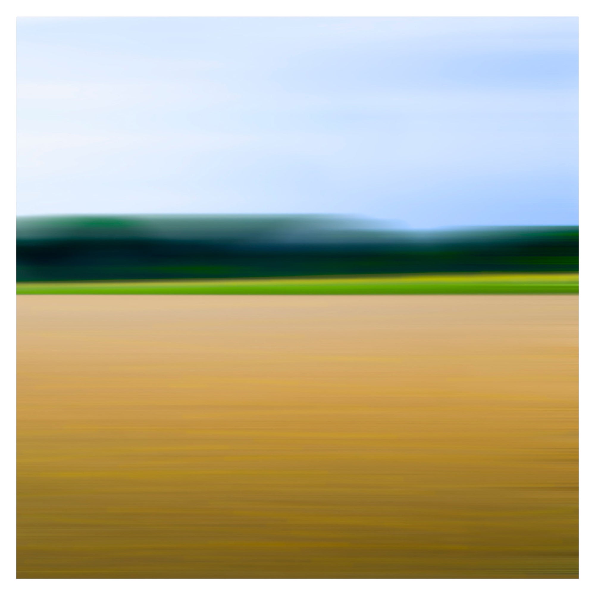 Bonnie Edelman "Sprouting Wheat Field Golden" Photograph, Scapes Series, 2009 For Sale