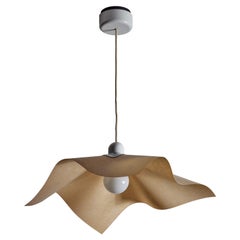 "Area Curvea" Ceiling Light by Mario Bellini & Giorgio Origlia for Artemide