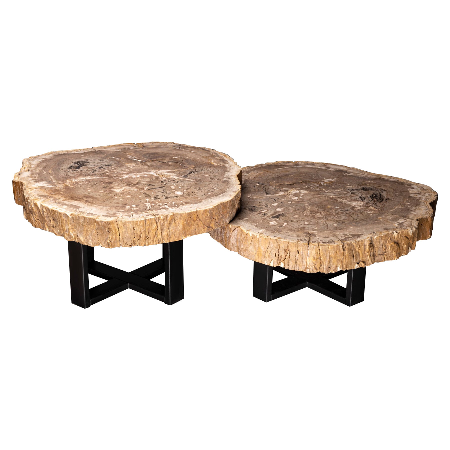 Large Petrified Wood Coffee Table For Sale at 1stDibs