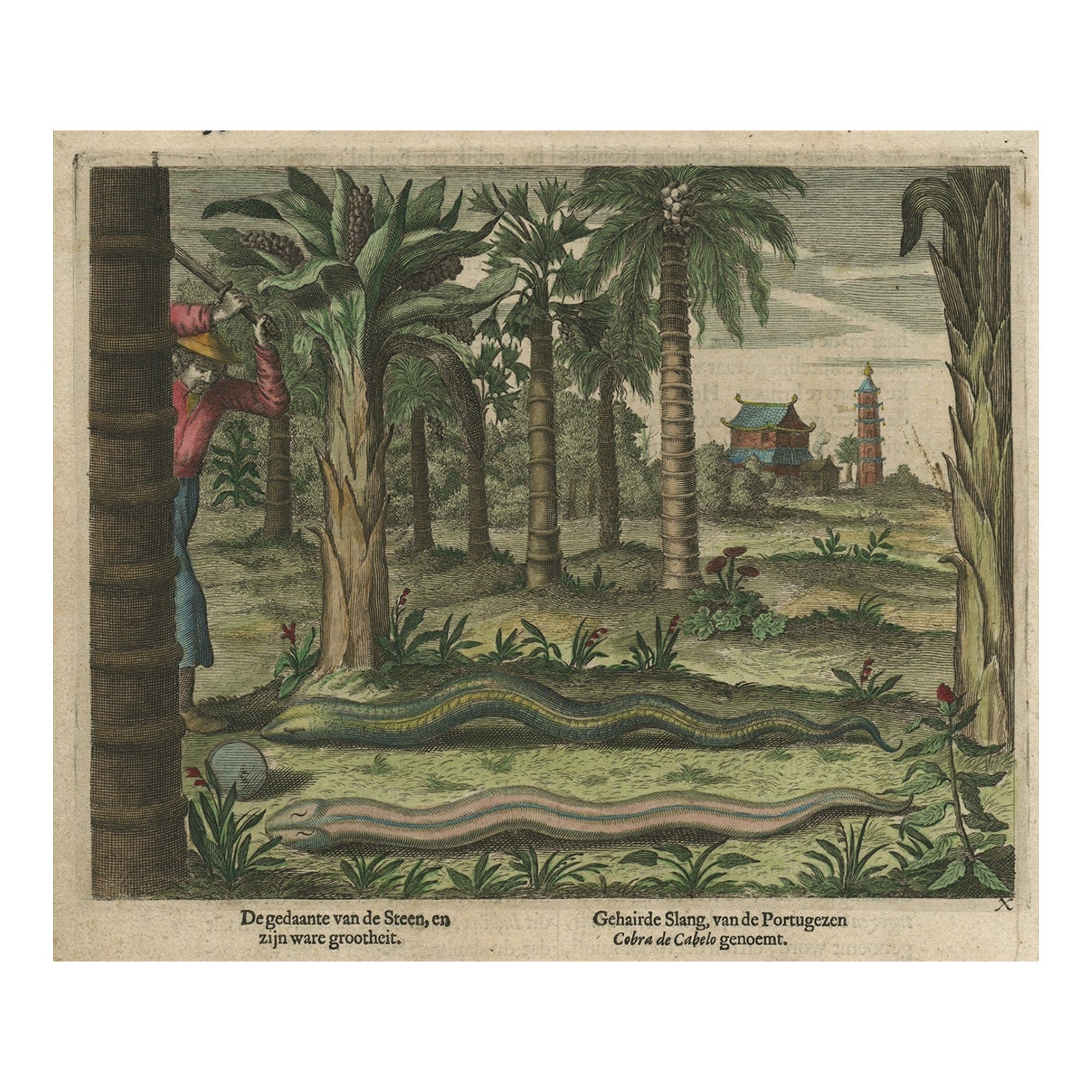 Antique Hand-Colored Engraving of Chinese Snakes,  a Temple and Pagoda, ca.1660 For Sale