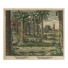 Antique Hand-Colored Engraving of Chinese Snakes,  a Temple and Pagoda, ca.1660