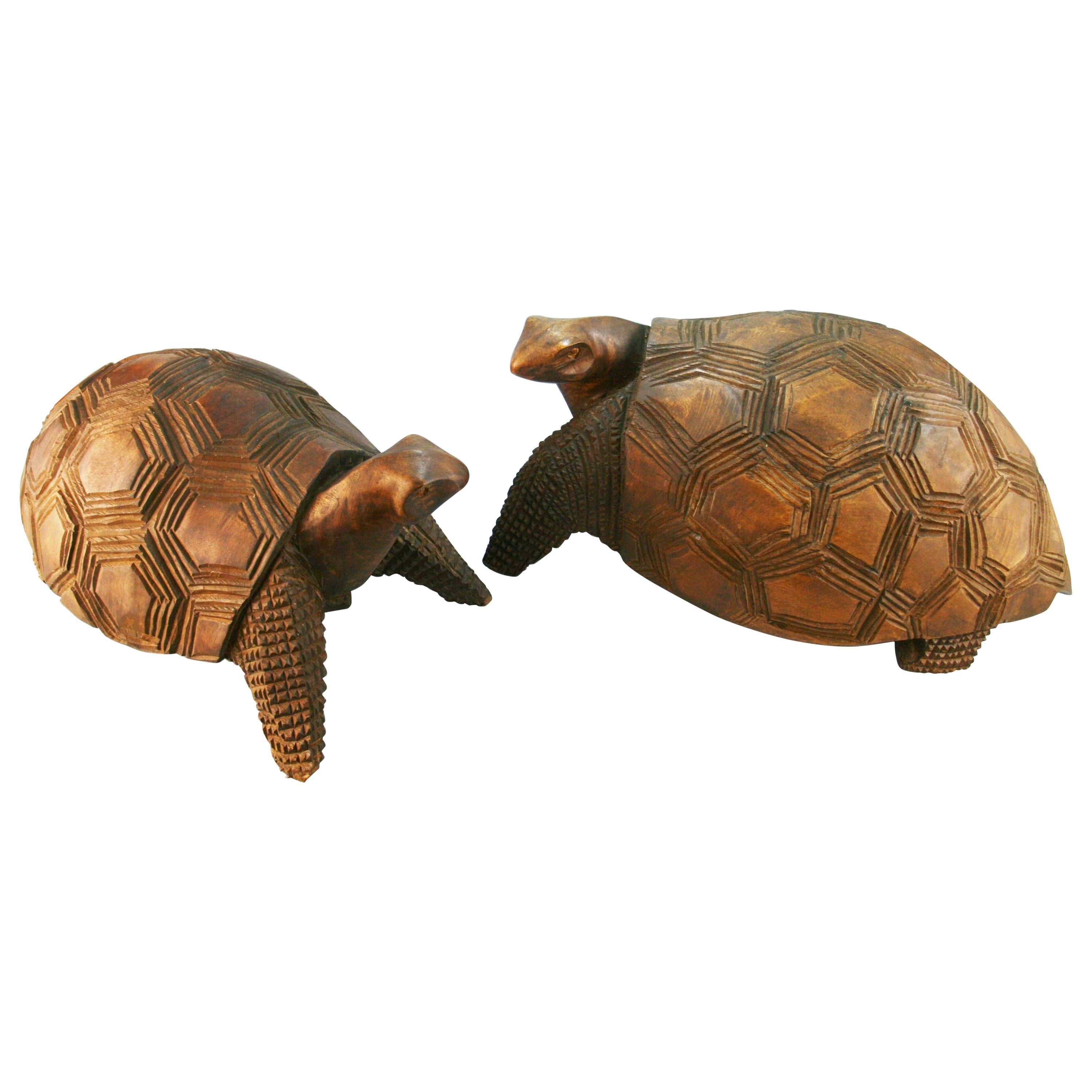 Japanese Pair of Life Size Carved Wood Sea Turtles