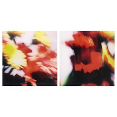 Roberto Dutesco Flowers Chromogenic Photographs, Plexiglass Mounted, Pair