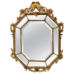 Antique Elegant French Napoleon III Period Parclose Gilt Wood Mirror