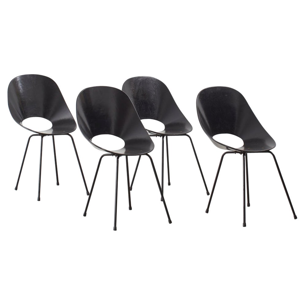 Set of Four Vittorio Nobili Medea Chairs, Fratelli Tagliabue, Italy For Sale