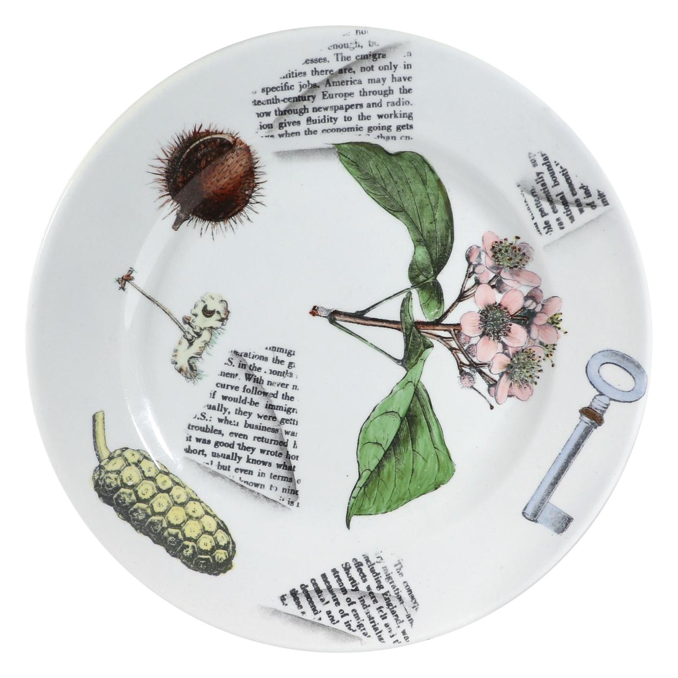 Piero Fornasetti Pottery Plate Galvani Pattern