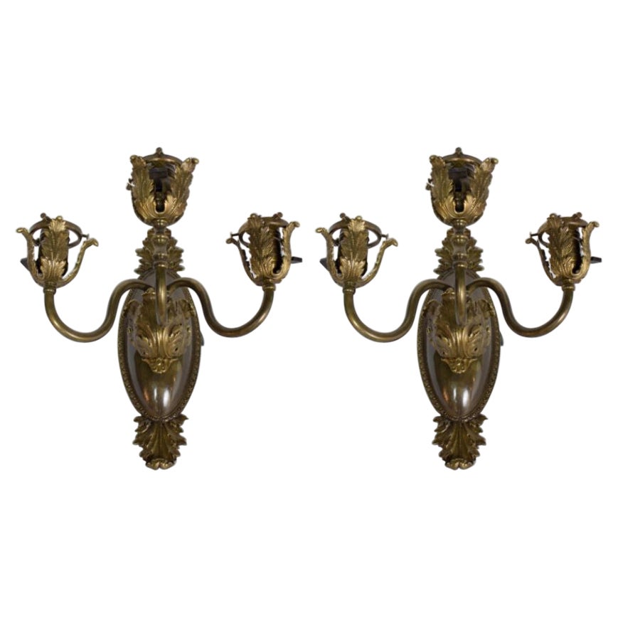 Three Light Bronze Sconces with Acanthus Leaves, a Pair For Sale