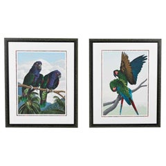 Dallas John Limited Edition Signed Imperial Mates & Military Macaws Serigraph