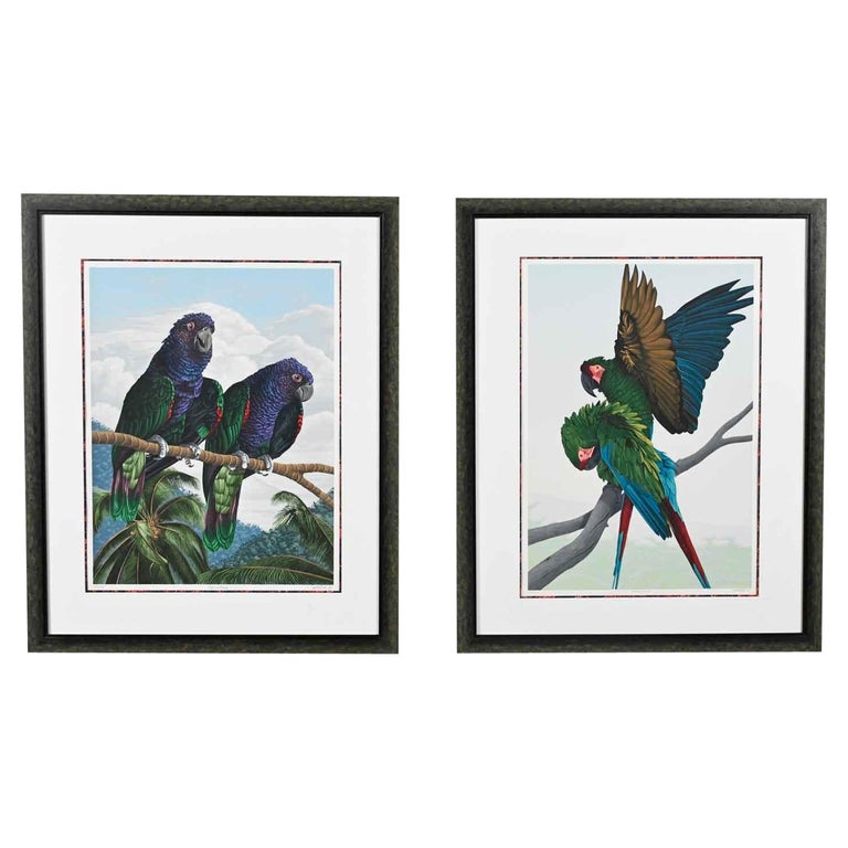 Dallas John Limited Edition Signed Imperial Mates & Military Macaws Serigraph For Sale