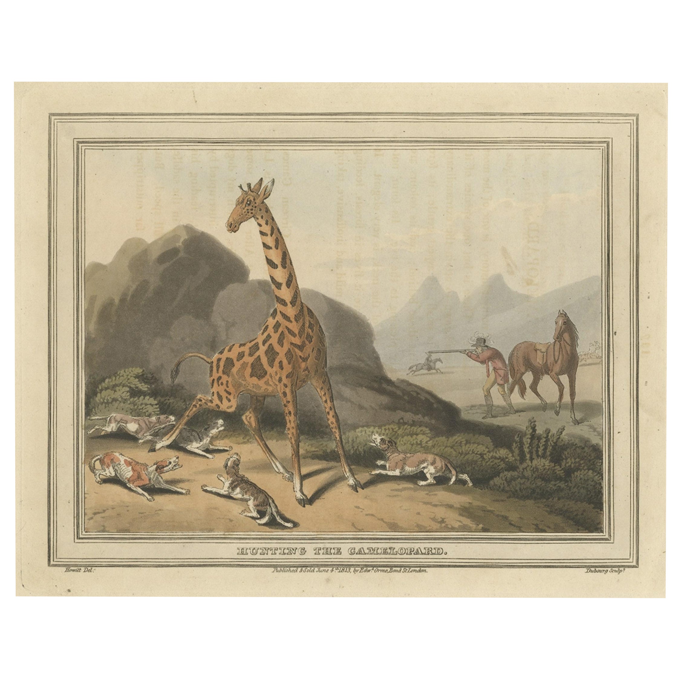 Old Hunting Scene of the 'Camelopard', a Name Often Used for a Giraffe, 1813 For Sale