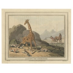 Ancienne scène de chasse du « Camelopard », un nom souvent utilisé pour un girafe, 1813