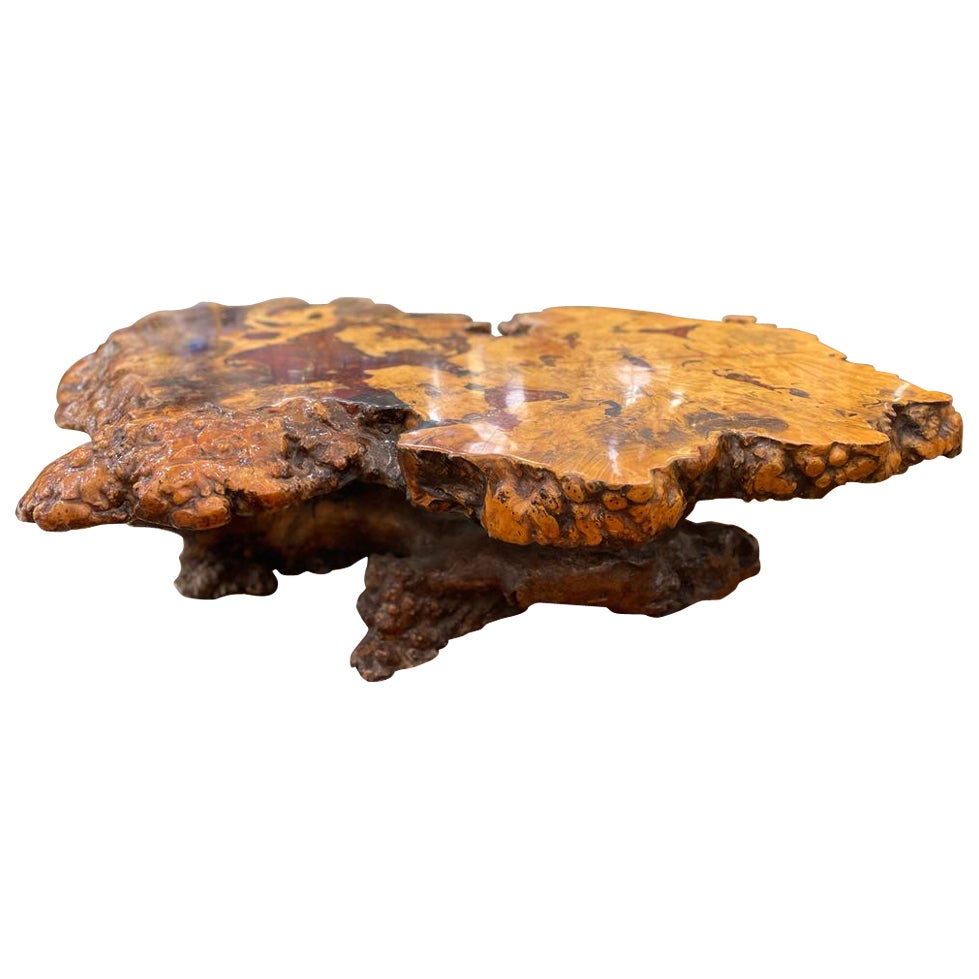 Live Edge Buckeye Burlwood Coffee Table by HALL'S BURLWOOD TABLE COMPANY, INC.