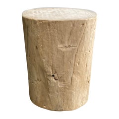 Natural Wood Stump Side Table
