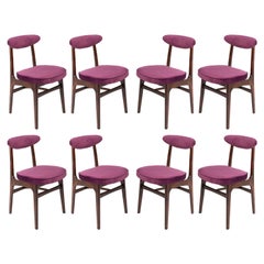 Vintage Eight 20th Century Plum Velvet Chairs Designed by Rajmund Halas, Europe, 1960s