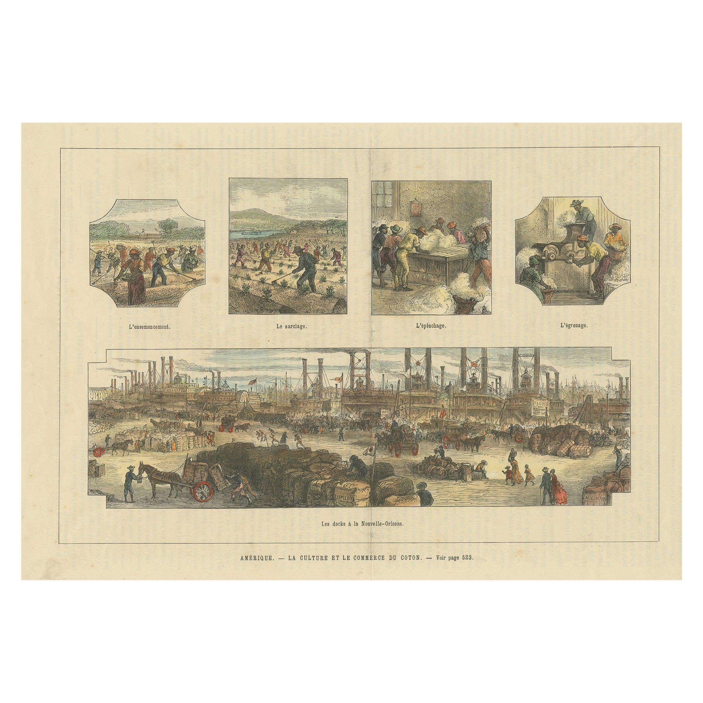 Antique Print Showing the Cotton Cultivation and Trade in America, Ca.1900