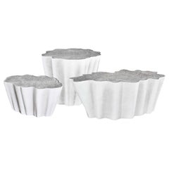 Outdoor Cross-Section Tree Trunk Tables in Matte White