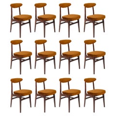 Vintage Twelve 20th Century Copper Velvet Chairs designed by Rajmund Halas Europe, 1960s