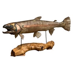 Late-20th Century Rainbow Trout, Taxidermy, Fish