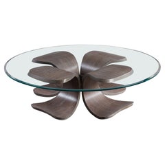 Modern Glass Coffee Table with Brazilian Rosewood “Orchid” Petal Base