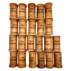 Antique Late 19th Century Wooden Viennese Pharmacy Containers in the Set of 22 Pieces