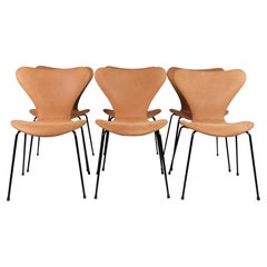 Ensemble de six chaises de la série 7 modèle 3107 80th Anniversary en noyer poncé