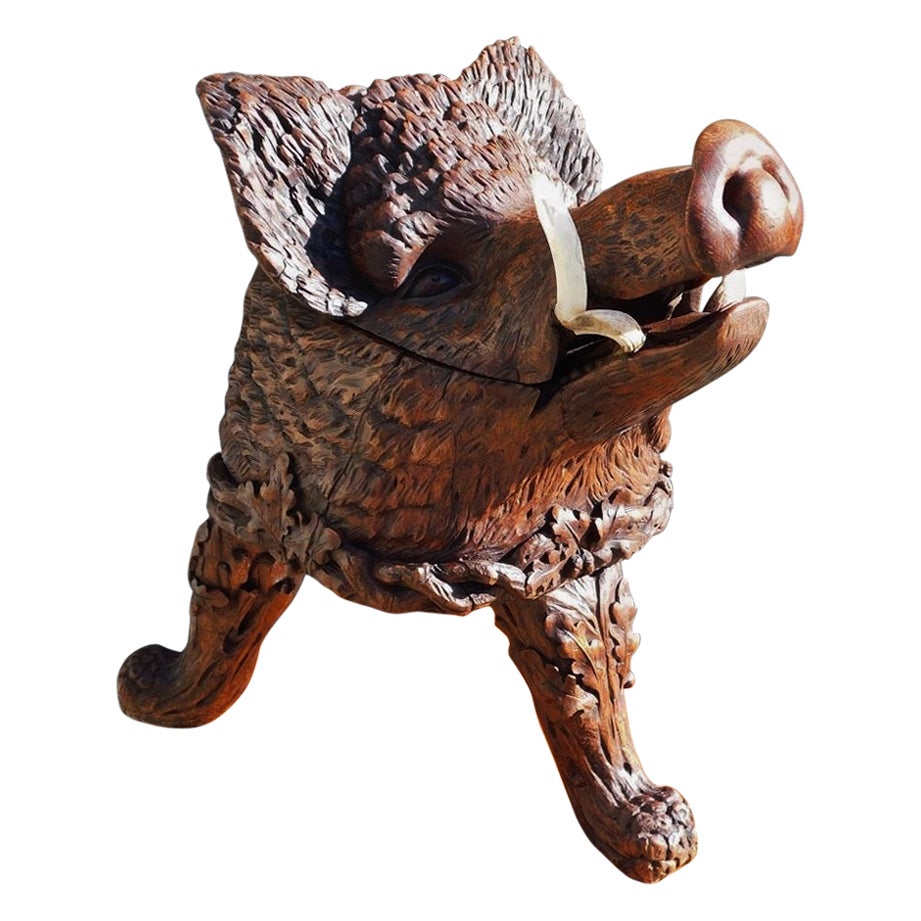 Black Forrest Carved Oak Hinged Boar Head Cellarette with Bone Tusk, C. 1870 For Sale