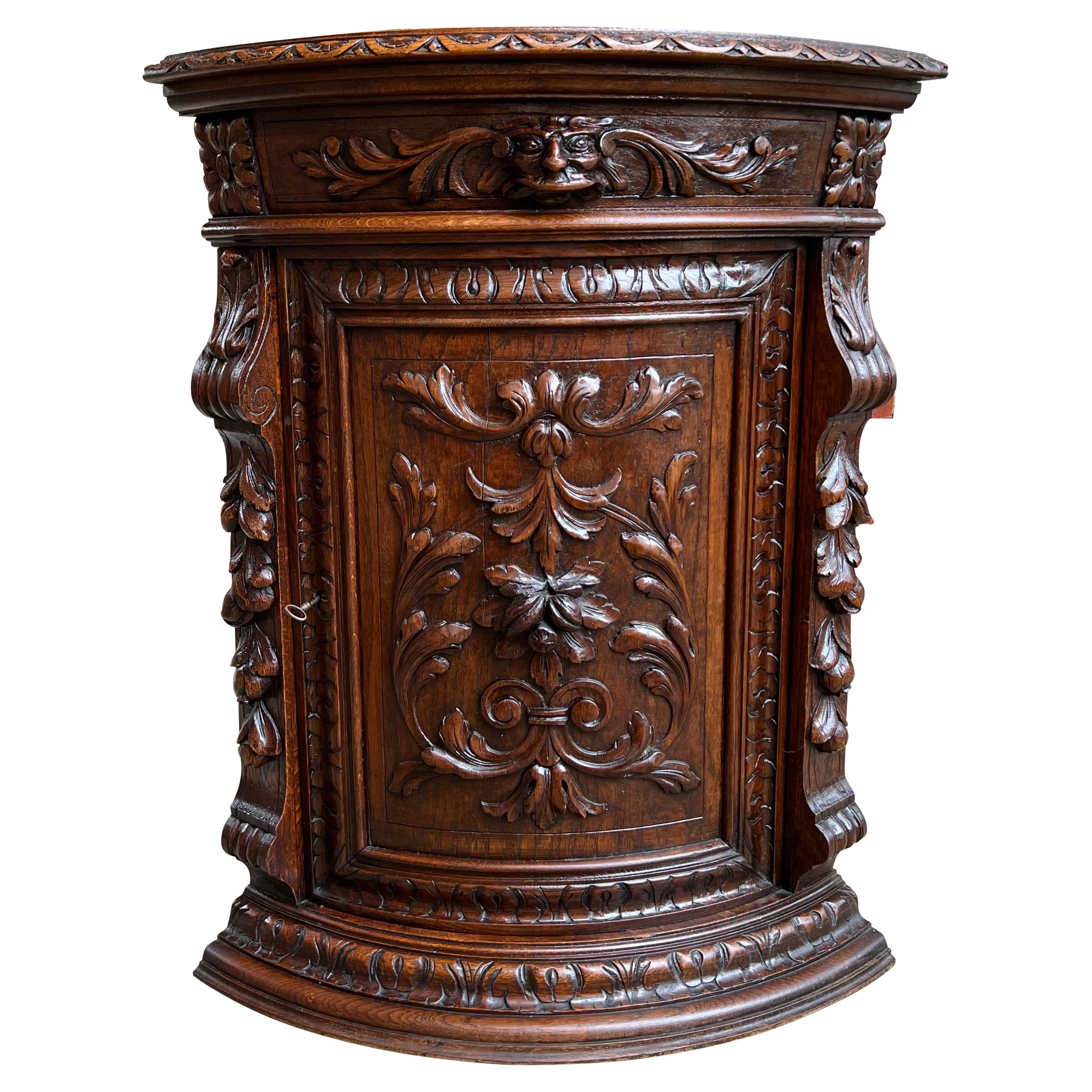 19th Century French Carved Oak Corner Cabinet Renaissance Petite Arched Front