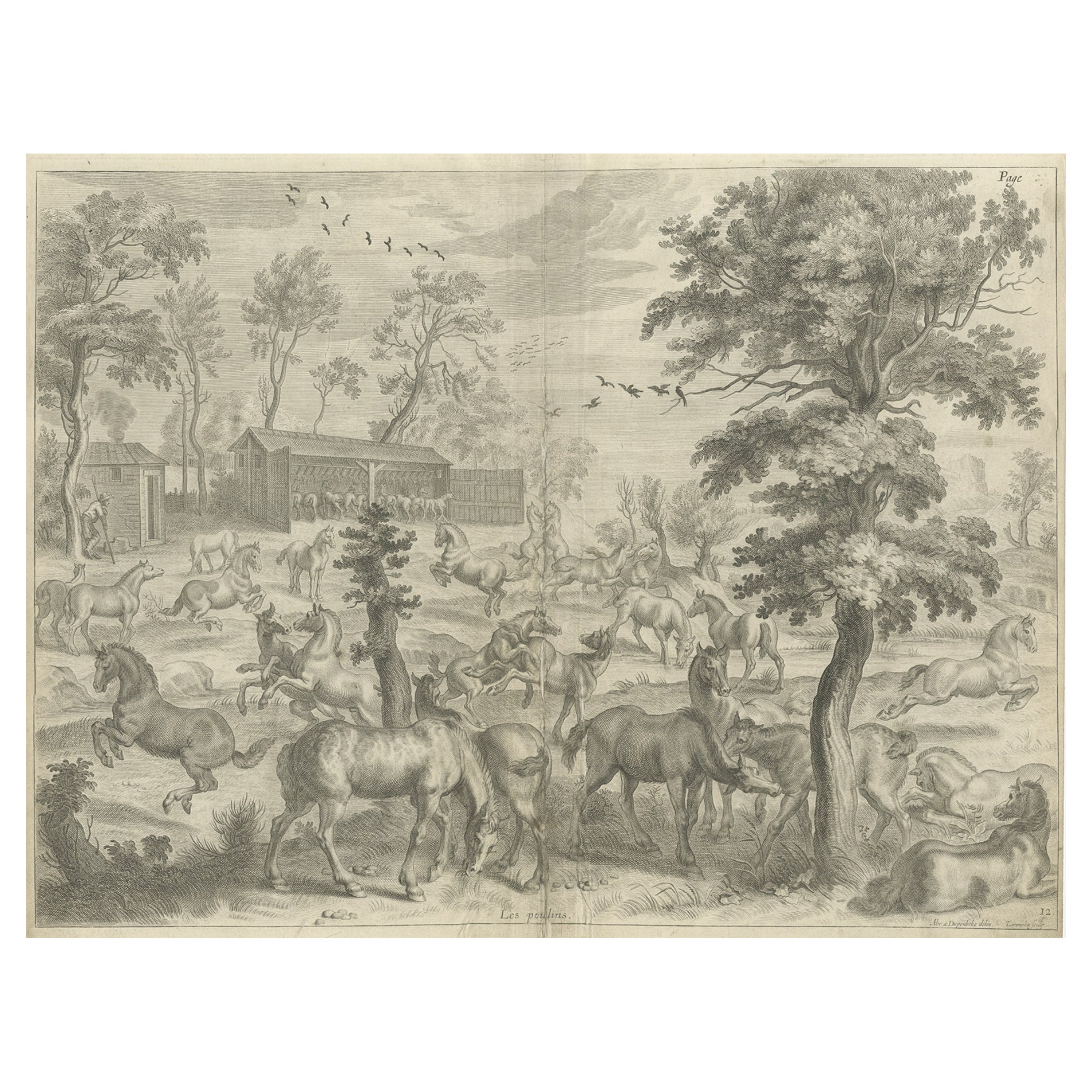 Ancienne et intéressante estampe rare d'une étude de chevaux, vers 1665