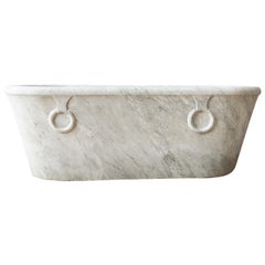 Antique Carrara Marble Bathtub from the Early 19th Century
