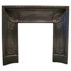 Antique French Cast Iron Fireplace Insert