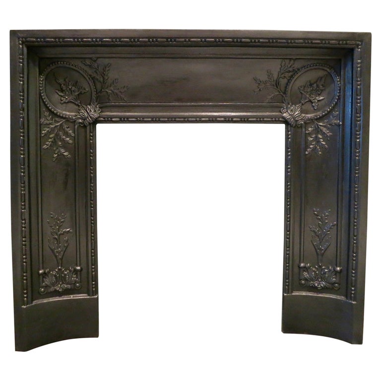 Antique French Cast Iron Fireplace Insert at 1stDibs