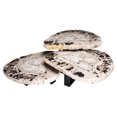 Center Table, Three-Piece Petrified Wood Table with Metal Base