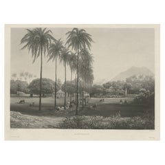 Seltene Chinesische Kugel-Aquatinta von Banyuwangi, Ostjapan, Indonesien, 1835