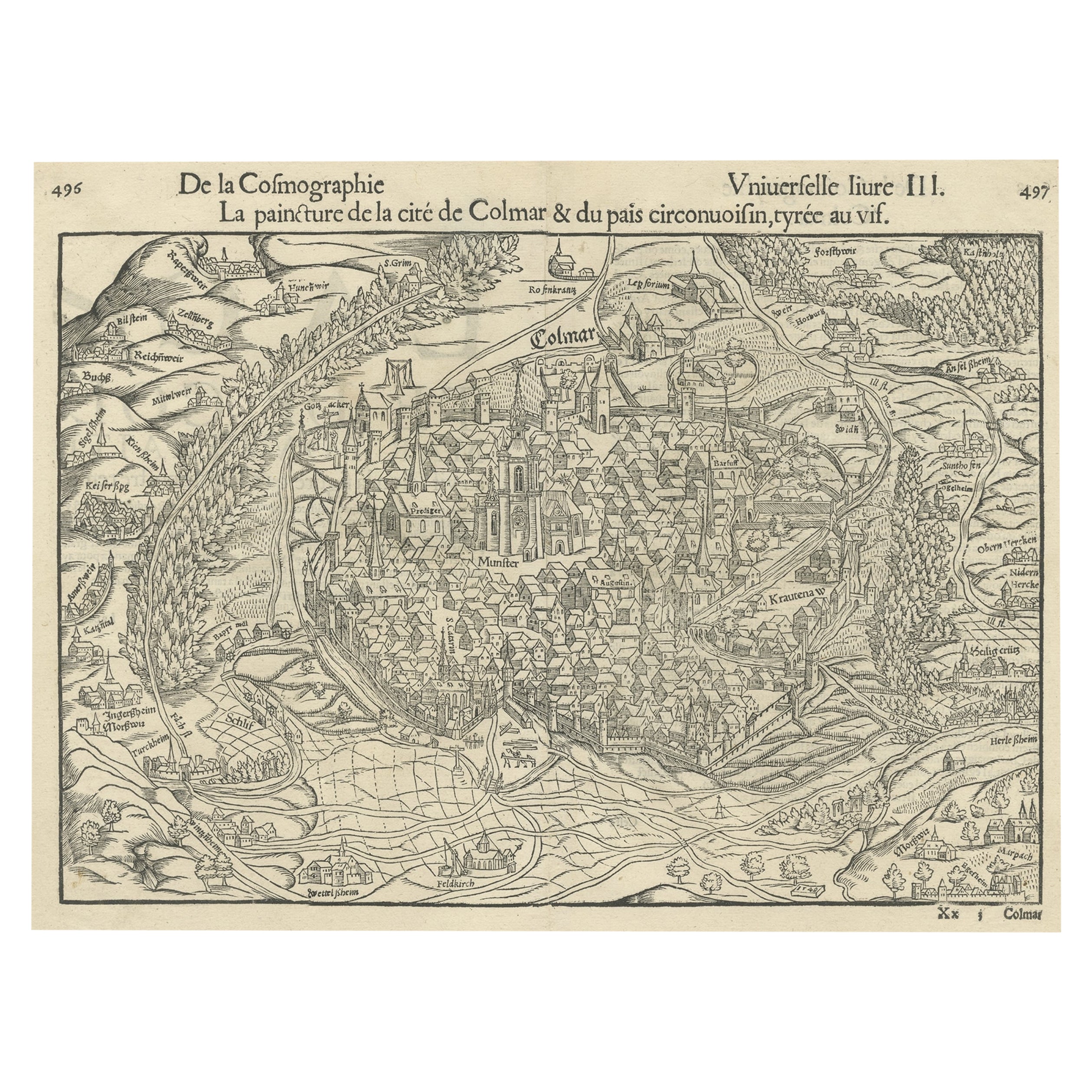 Original Antique Bird's-Eye View of Colmar, Alsace, France, 1552 For Sale