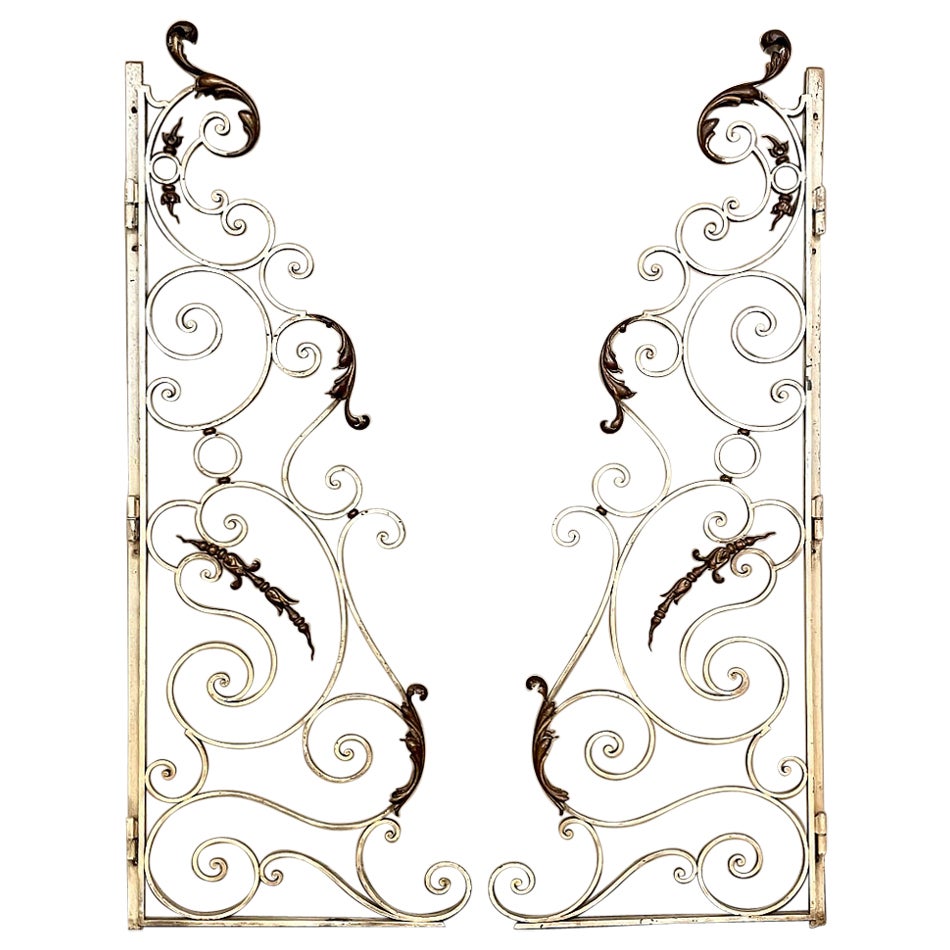 Pair 19th Century Wrought Iron Gates For Sale