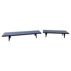 Pair Sleek Low Tables/ Benches