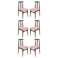 Ensemble de six chaises en bouclette rose, par Zielinski, Pologne, années 1960