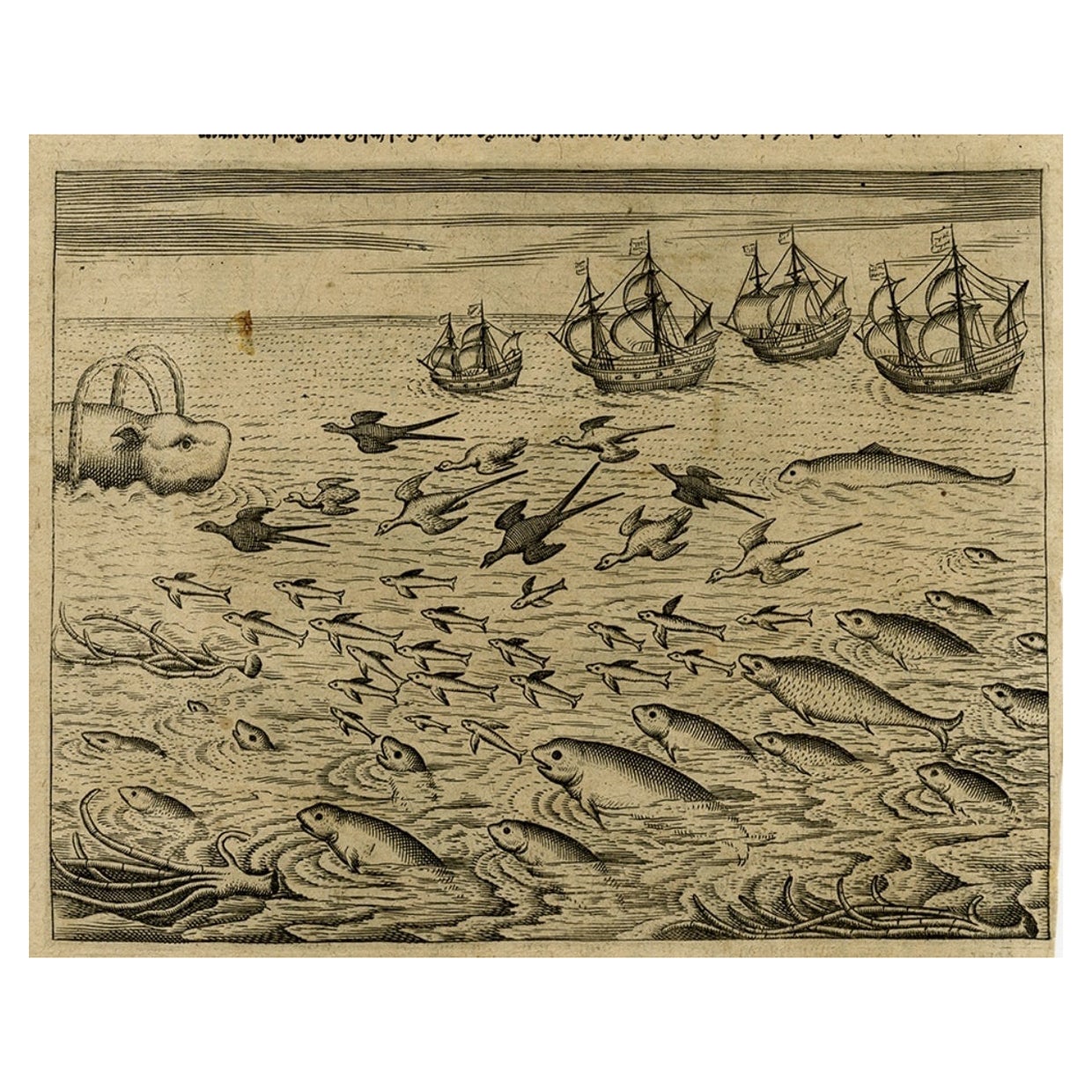 Old Print of Ascension Island with Ships, a Whale and Flying Fish, 1601 For Sale