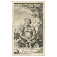 Antique Engraving of an Orang-Utan on Borneo 'Kalimantan' or Sumatra, Indonesia, 1739