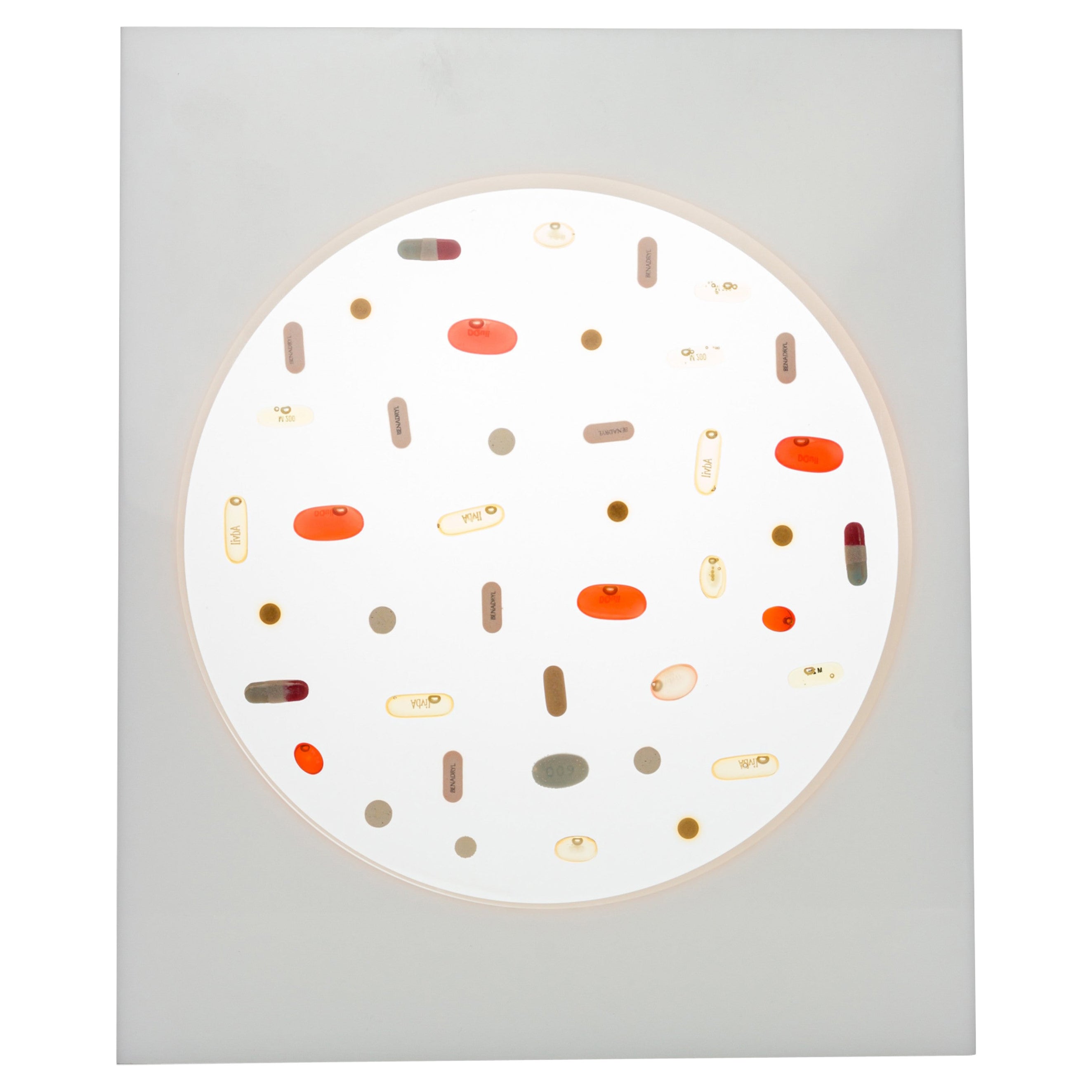 Ray Geary Contemporary \ Resin and Pill Sculpture Titled "White Pill Circle" For Sale