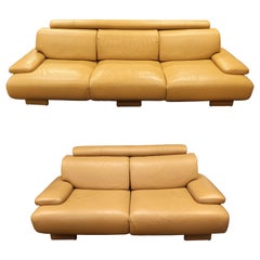 Pair of Premier Contemporary Modern Camel Colored Leather Sofa & Loveseat