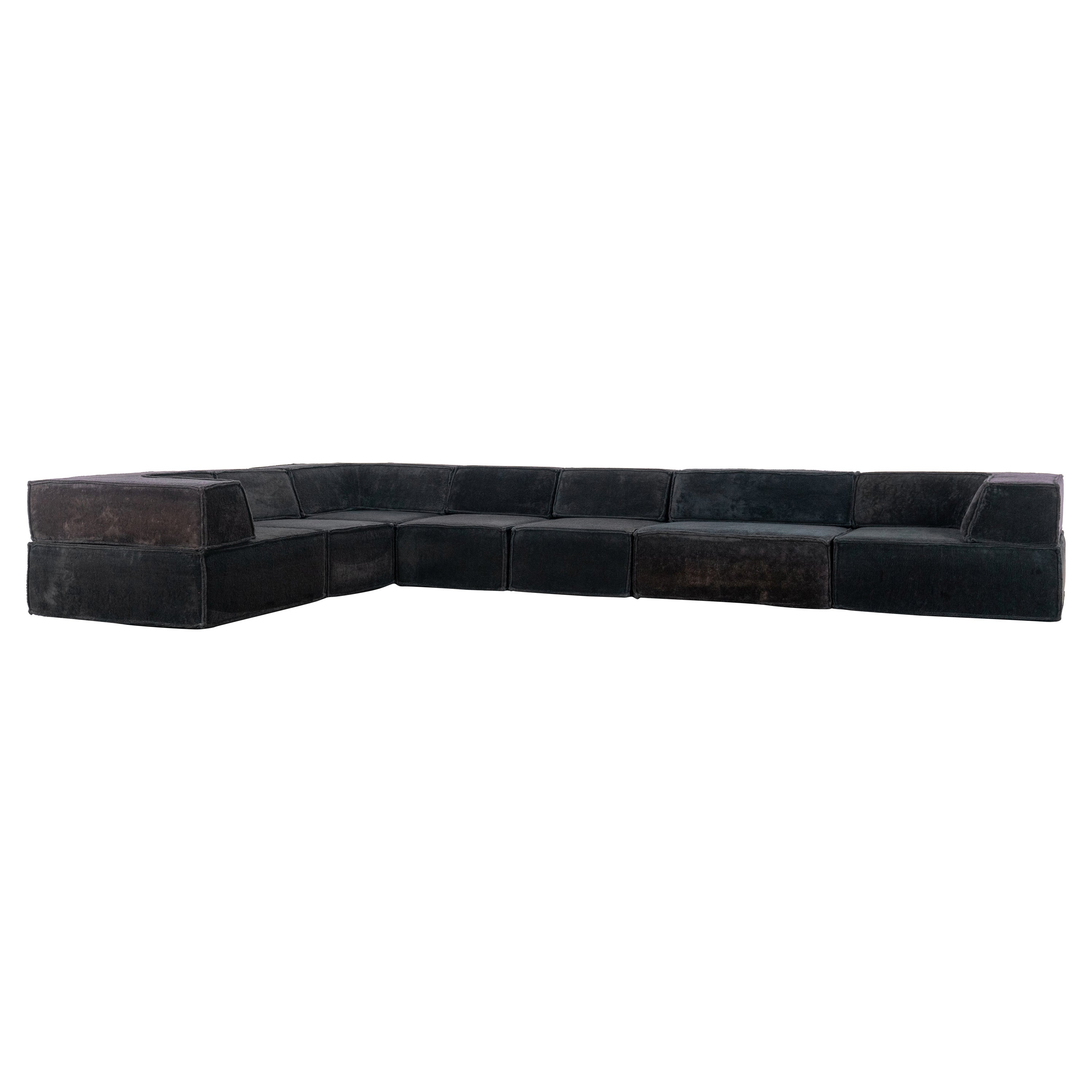 COR Trio Modular Sofa, Giant Landscape in Black Teddy, 1972 by Team Form AG