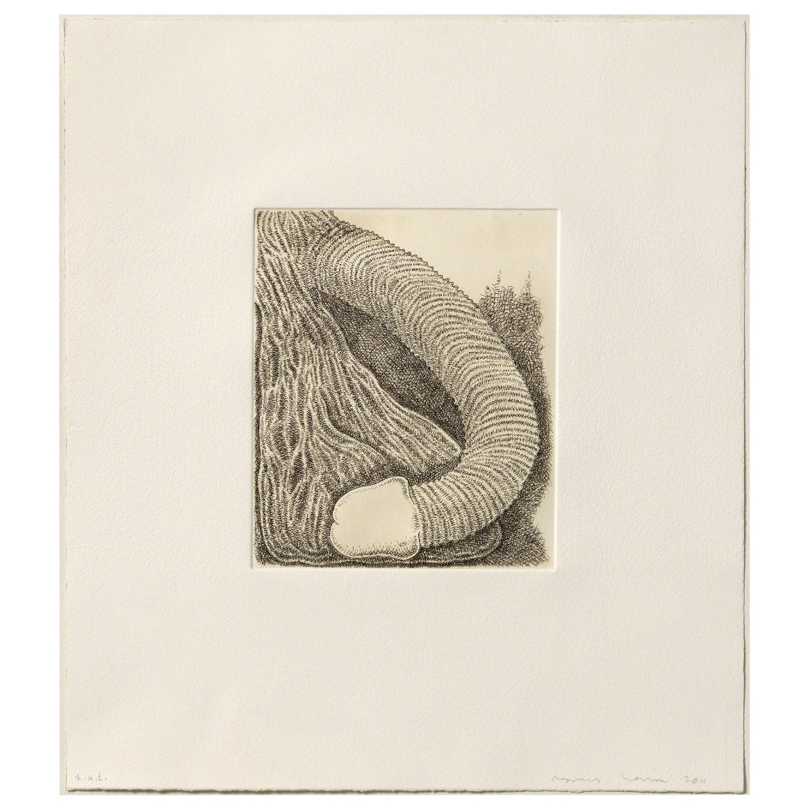 James Siena Etching 'Membre', 2011 For Sale