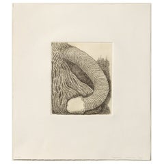 James Siena Aguafuerte "Membre", 2011