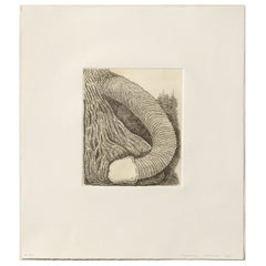 James Siena Etching 'Membre', 2011