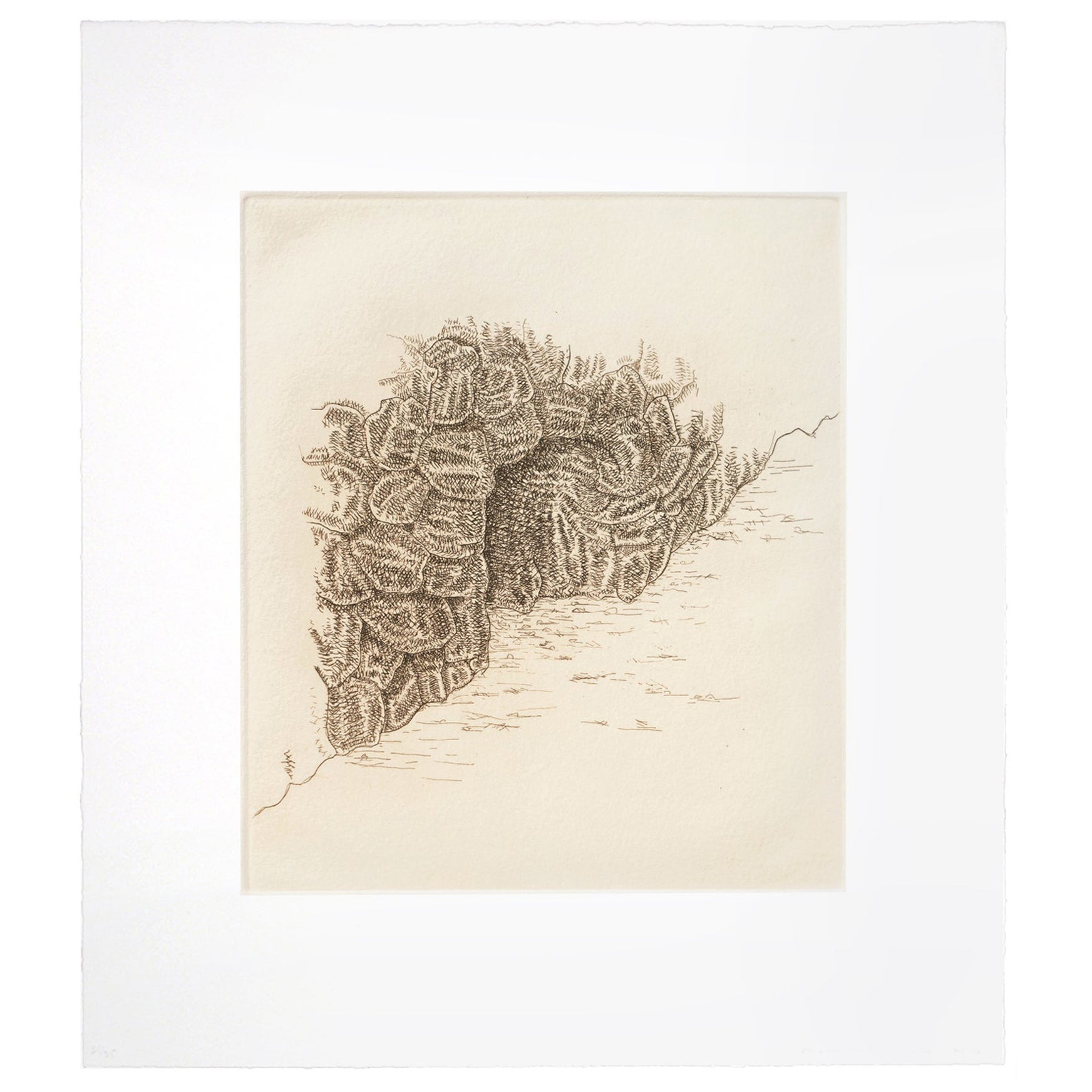 James Siena Etching 'Cova', 2011 For Sale