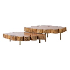Locum I Set of 2 Brown Coffee Tables