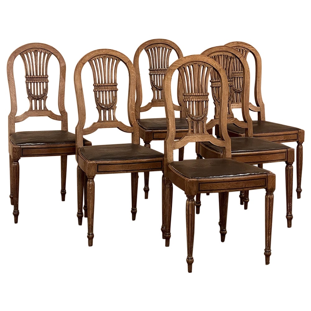 Ensemble de 6 chaises de salle à manger françaises anciennes Louis XVI