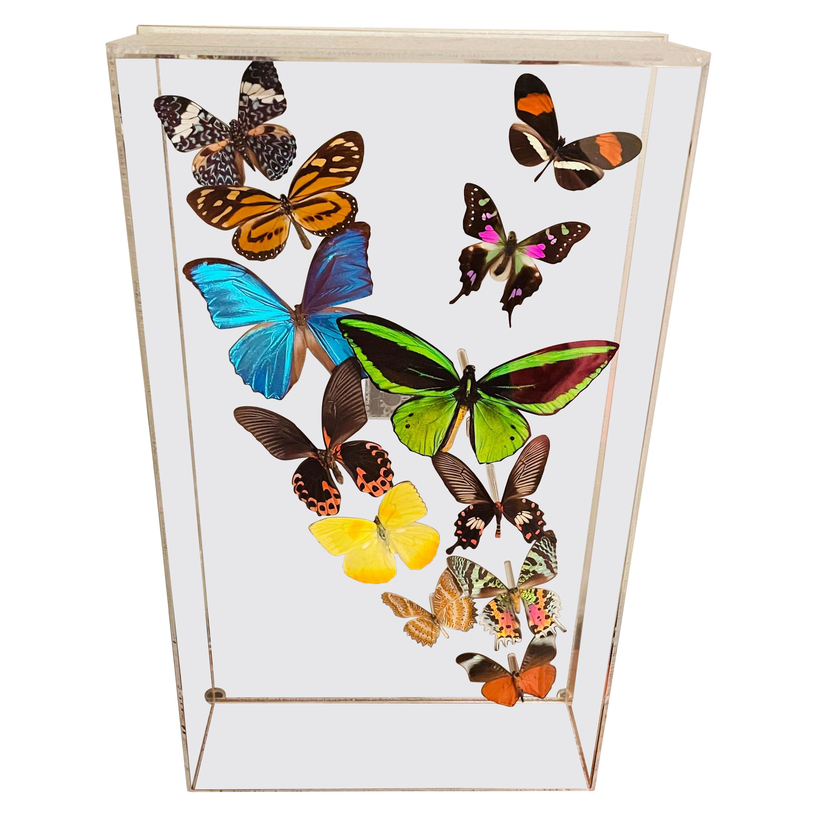 Boîte d'ombres papillon en acrylique et lucite Sam Trophia des années 1970 en vente